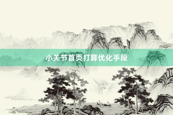小关节首页打算优化手段