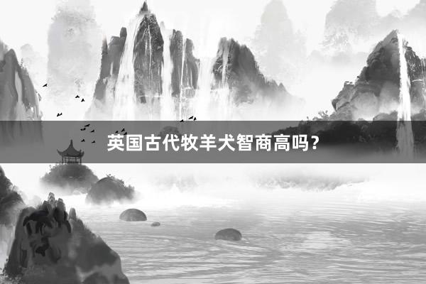 英国古代牧羊犬智商高吗？