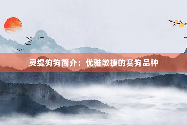 灵缇狗狗简介：优雅敏捷的赛狗品种